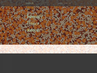 linseliv.dk snapshot