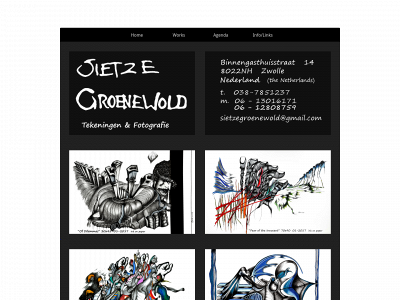 sietzegroenewold.nl snapshot