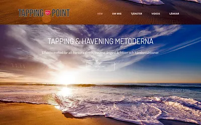 tappingpoint.se snapshot