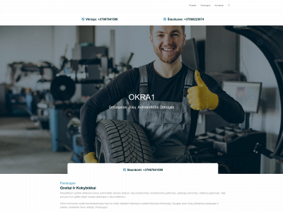 okra1.lt snapshot