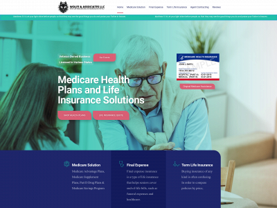 wolfeseniorservices.com snapshot