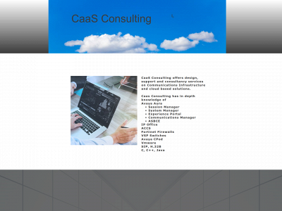 caasconsulting.co.uk snapshot