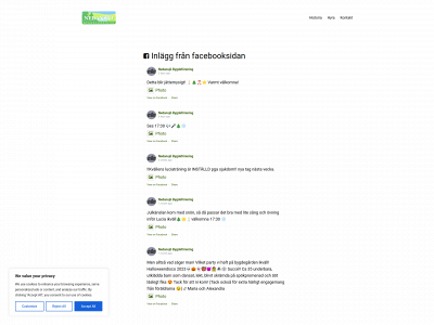 nedansjo.net snapshot
