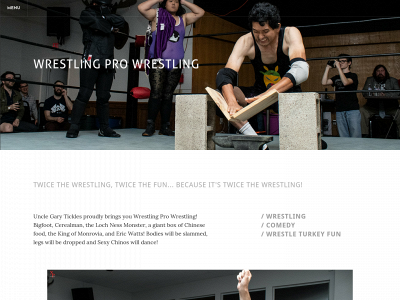 wrestlingprowrestling.com snapshot
