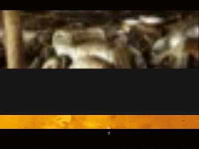 dalver.nl snapshot