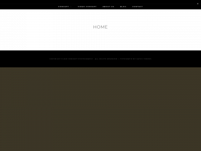 1cept.com snapshot