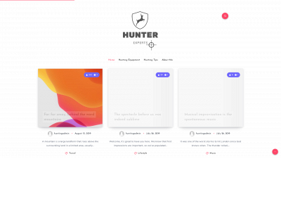 hunterexperts.com snapshot
