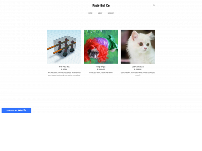 thepacbot.weebly.com snapshot