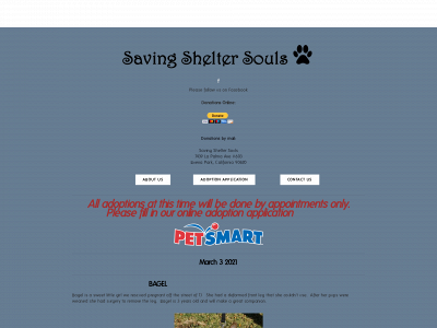 www.savingsheltersouls.com snapshot