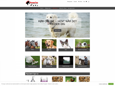 rolfsmindefoder.dk snapshot