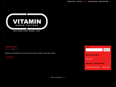 vitaminberlin.com snapshot