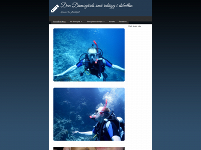 dandamsgaard.se snapshot