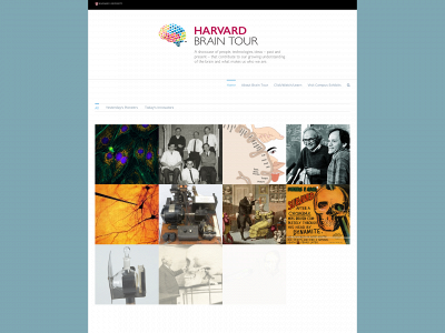 braintour.harvard.edu snapshot