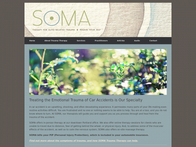 somatraumatherapy.com snapshot