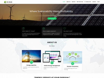 nordicpowerbalance.com snapshot