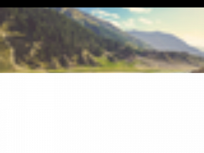 pelvicsolution.info snapshot