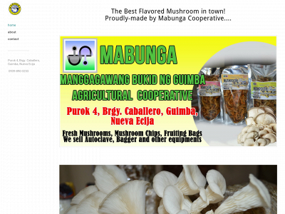 mabunga.weebly.com snapshot