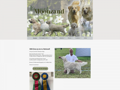 moonzand.se snapshot