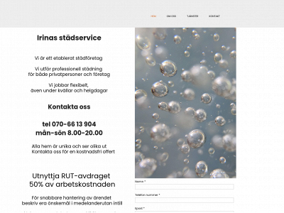 irina-tagg.se snapshot