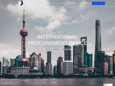 lgs-international.com snapshot