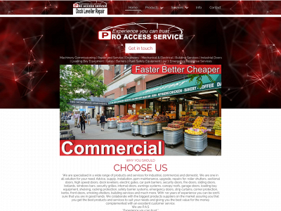 proaccessservice.com snapshot