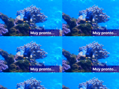 aquariumjerez.es snapshot