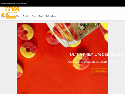 tivadelivery.com snapshot