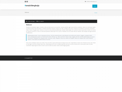 ronaldberghuijs.nl snapshot
