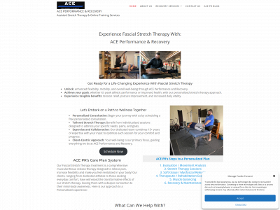 aceprecovery.com snapshot