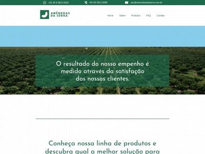 amendoasdaserra.com.br snapshot