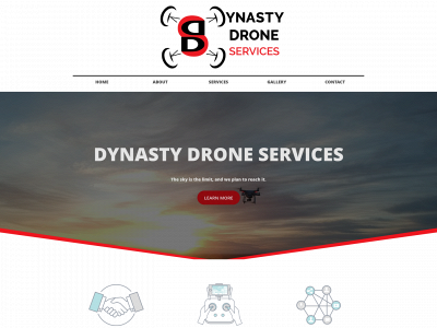 dynastydrone.com snapshot