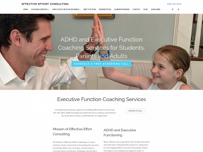 effectiveeffortconsulting.com snapshot