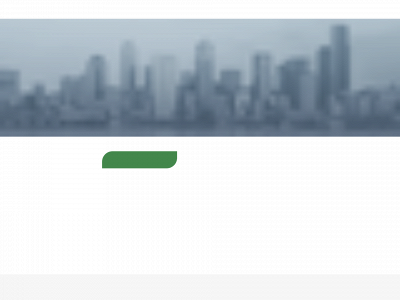 panz-consulting.com snapshot