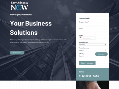 easyadvancenow.com snapshot