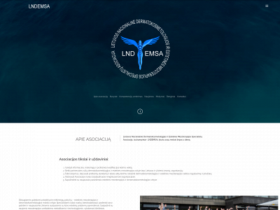 lndemsa.lt snapshot