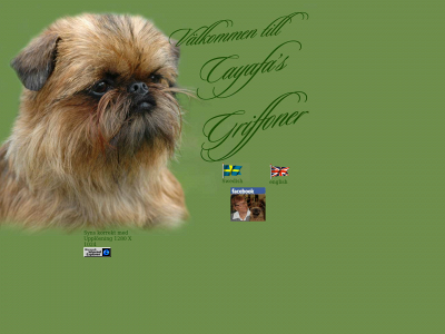 cayafas.se snapshot