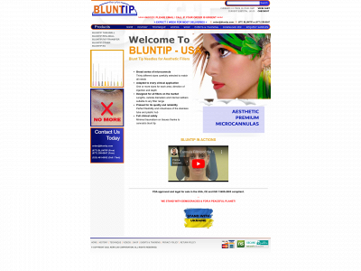 bluntip.com snapshot