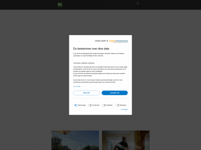 ol-service.dk snapshot