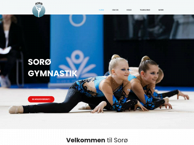 soroegymnastik.dk snapshot