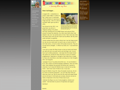 dom-lee.com snapshot