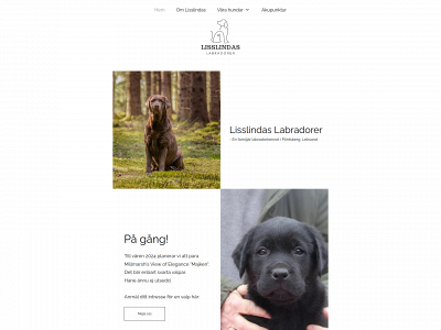 lisslindas.se snapshot