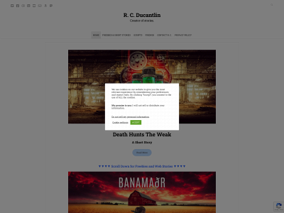 ruairiducantlin.com snapshot