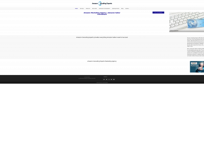 amazonconsultingexperts.com snapshot