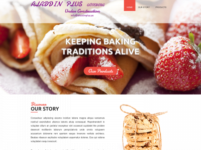 aladdinplus.se snapshot