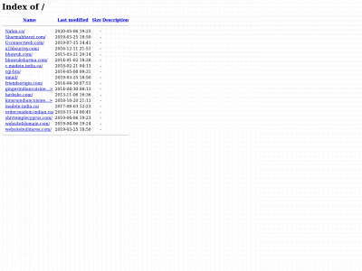 fitvoip.com snapshot