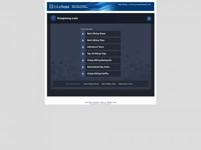 enopenny.com snapshot