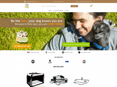 doggoodsstore.com snapshot