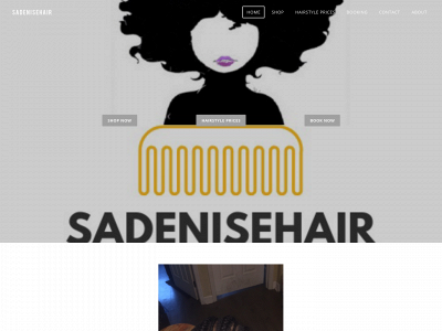 sadenisehair.weebly.com snapshot