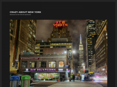 anewyorkview.com snapshot