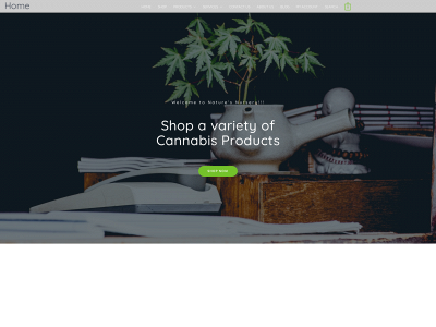 naturesnursery.co.za snapshot
